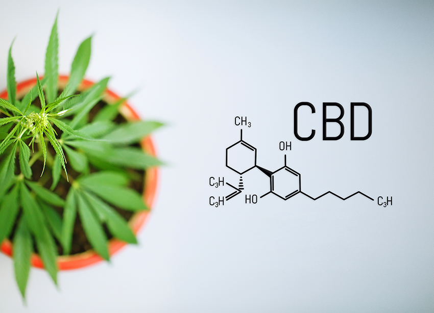 cbd-1.jpg